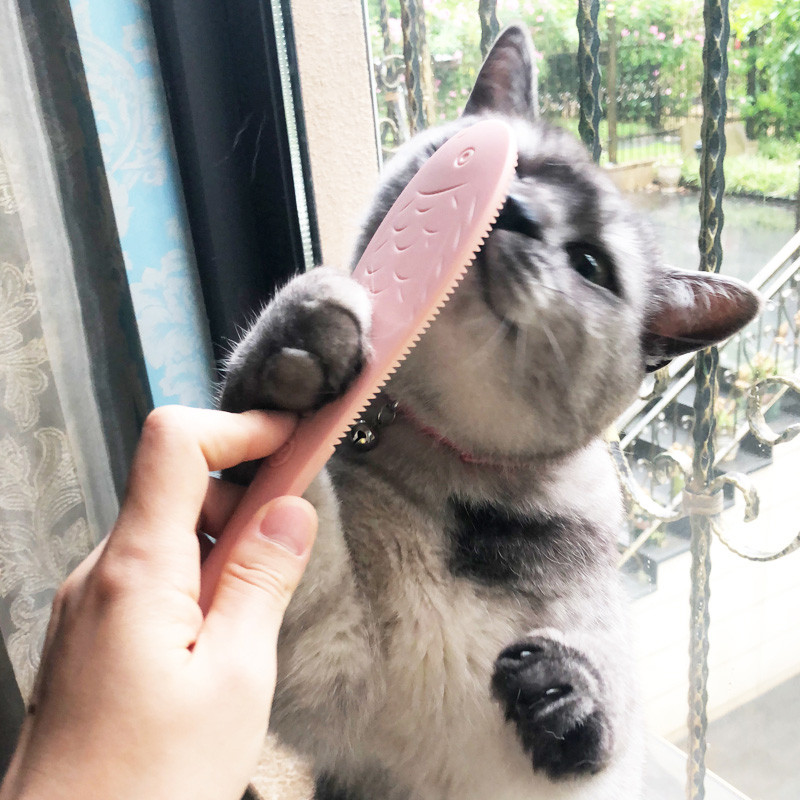 Lemmikloomatooted Selja masseerija kraabitsad kassikammi jaoks Simuleerivad kassi keele tekstuuri lakkumist rahustavad kammi hooldusvahendid