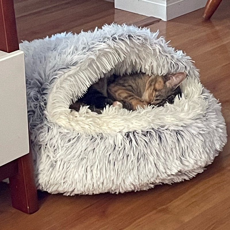 Iarnă Lungă de pluș Pet Pisică Pat rotund Casă de pisică Perna pentru pisici 2 în 1 Coș cald pentru pisică Sac de dormit pentru pisică Cuib pentru pisică Canisa pentru câini mici