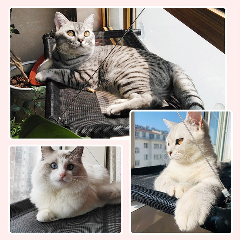 Kassi võrkkiik aknavoodi Lemmiklooma suve võrkkiigivoodi koduvoodi Elutoa imikork Seinale riputatav lemmikloomavõrgust hingav võrkkiikvoodi