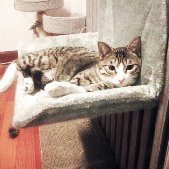 Κρεβάτι γάτας Κρεμαστή αιώρα για κατοικίδια για γάτα Εναέριο κρεβάτι για κατοικίδια για γάτα που κοιμάται Εύκολα πλένεται Γατάκι γάτες Κάθισμα παραθύρου Σπίτι Αξεσουάρ για κατοικίδια