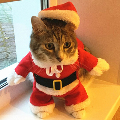 Jõulukassi kostüümid Naljakad Jõuluvana Riided Väikestele Kassidele Koertele Jõulud uusaasta Lemmikkassi riided Talvised kiisu kassipoegade komplektid