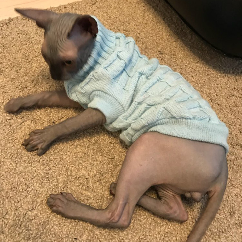 Szabadidő kisállat macska pulóver Téli meleg pamut macskaruhák kis macskáknak Cicakabát kabát Kitty kötött pulóverek kutyaruházat