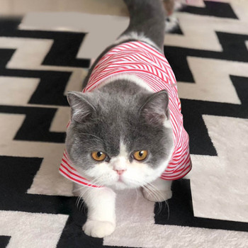 Καρό ρούχα για γάτες Φθινοπωρινό χειμερινό κατοικίδιο Ρούχα για μικρές γάτες Σκύλοι Κοστούμια βαμβακερής γάτας Μαλακό παλτό γατάκι γατούλα Μπουφάν για κουτάβι Στολή