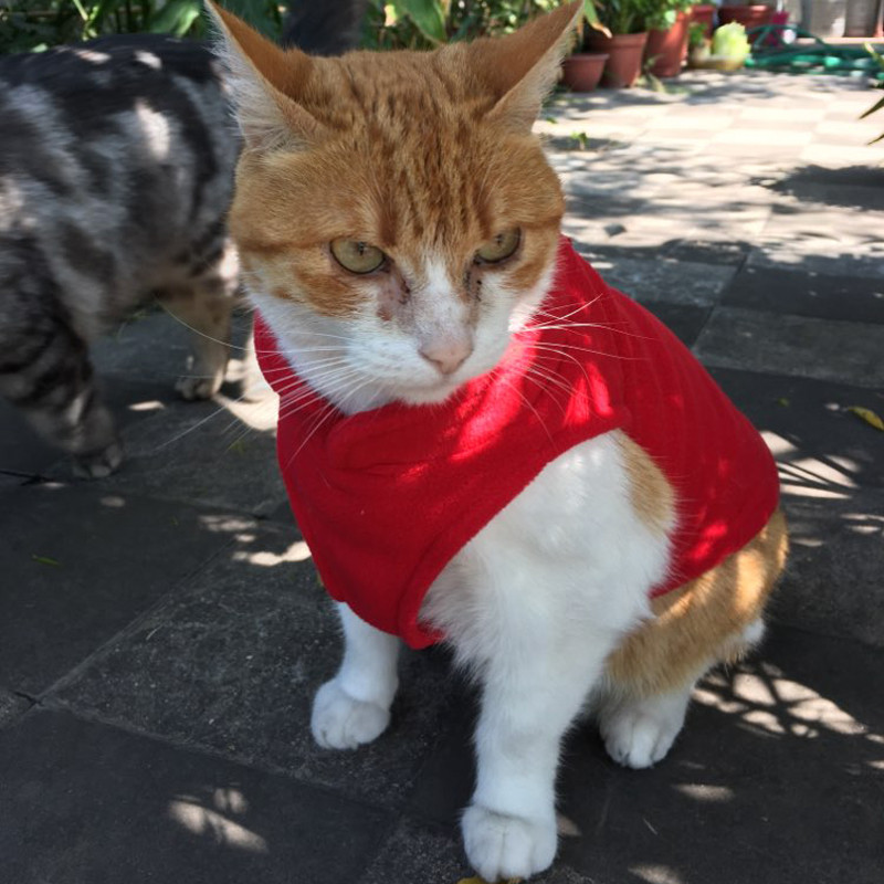 Μασίφ Fleece Ρούχα Γάτας Χειμερινό Σφίγγα γιλέκο για γάτες Μικρά σκυλιά Yorkie Chihuahua Ρούχα πουλόβερ για σκύλους για σκύλους