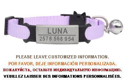 Εξατομικευμένη ετικέτα ταυτότητας Κολιέ με κουδούνι κολάρου γάτας Χαρακτική ασφάλεια Breakaway μικρό νάιλον σκύλου Ρυθμιζόμενο κολιέ για κουτάβια γατάκια