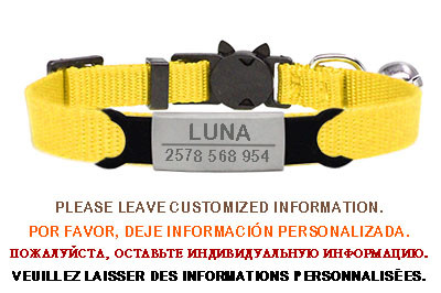Εξατομικευμένη ετικέτα ταυτότητας Κολιέ με κουδούνι κολάρου γάτας Χαρακτική ασφάλεια Breakaway μικρό νάιλον σκύλου Ρυθμιζόμενο κολιέ για κουτάβια γατάκια