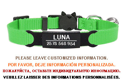 Εξατομικευμένη ετικέτα ταυτότητας Κολιέ με κουδούνι κολάρου γάτας Χαρακτική ασφάλεια Breakaway μικρό νάιλον σκύλου Ρυθμιζόμενο κολιέ για κουτάβια γατάκια