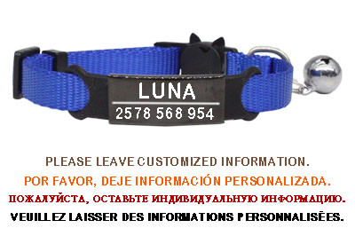 Εξατομικευμένη ετικέτα ταυτότητας Κολιέ με κουδούνι κολάρου γάτας Χαρακτική ασφάλεια Breakaway μικρό νάιλον σκύλου Ρυθμιζόμενο κολιέ για κουτάβια γατάκια