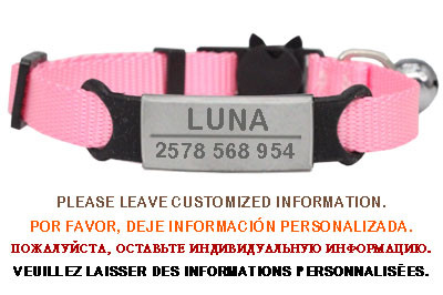 Εξατομικευμένη ετικέτα ταυτότητας Κολιέ με κουδούνι κολάρου γάτας Χαρακτική ασφάλεια Breakaway μικρό νάιλον σκύλου Ρυθμιζόμενο κολιέ για κουτάβια γατάκια