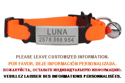 Εξατομικευμένη ετικέτα ταυτότητας Κολιέ με κουδούνι κολάρου γάτας Χαρακτική ασφάλεια Breakaway μικρό νάιλον σκύλου Ρυθμιζόμενο κολιέ για κουτάβια γατάκια
