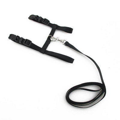 Kassi kaelarihmade jalutusrihm Reguleeritav nailonist lemmiklooma veojõu kassipoeg koera päitse Kaelarihm gato Cats Tooted Lemmiklooma rakmed rihm