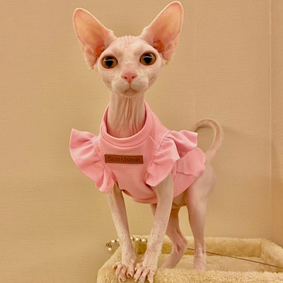 2021 Луксозни дрехи за котка сфинкс Лятна кучешка модна рокля за голи котки Облекло Малък френски булдог Костюм за кученце Котенца Жилетка