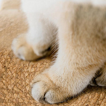 Кошница за домашни любимци Матрак Rattan Grass Weaving Cat Nest Dog Kennel Straw Scratch Board Bed For Puppy Kitten All Season Universal