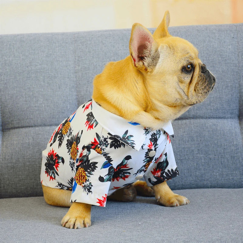 Majica s havajskim mačkama Ljetna odjeća za kućne ljubimce Majice za pse za male srednje pse Majica s printom kokosove palme na plaži Odjeća za štene čivave