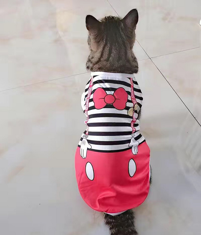 Sweet Print Sphynx Cat Clothes Kostüüm Suvine Lemmikloom Vest kassidele Gotas Jänes Pärsia Kassipoeg maskotid Riietus ubranko dla kota