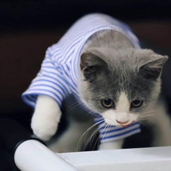 Ζεστά ρούχα για γάτες Φθινοπωρινά χειμωνιάτικα ρούχα για κατοικίδια για μικρές γάτες Σκύλοι Κοστούμια βαμβακερής γάτας Μαλακό παλτό γατάκι γατούλα Μπουφάν για κουτάβι Στολή