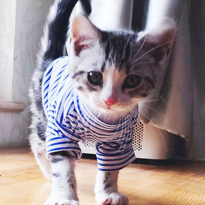 Ζεστά ρούχα για γάτες Φθινοπωρινά χειμωνιάτικα ρούχα για κατοικίδια για μικρές γάτες Σκύλοι Κοστούμια βαμβακερής γάτας Μαλακό παλτό γατάκι γατούλα Μπουφάν για κουτάβι Στολή