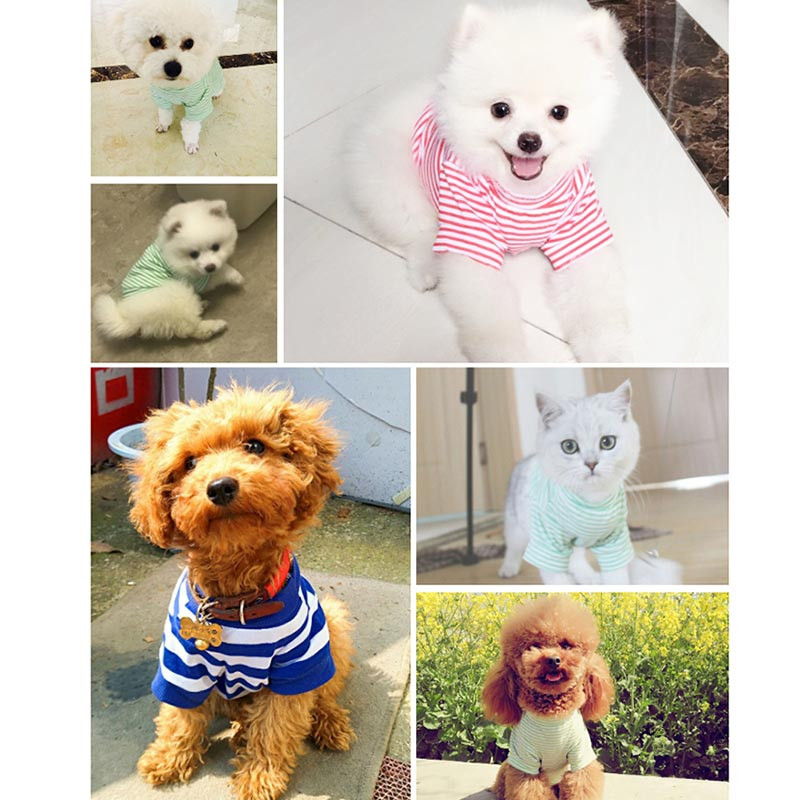 Haina caldă pentru pisici, toamnă iarnă, îmbrăcăminte pentru animale de companie, pentru pisici mici, câini, costume pentru pisici din bumbac