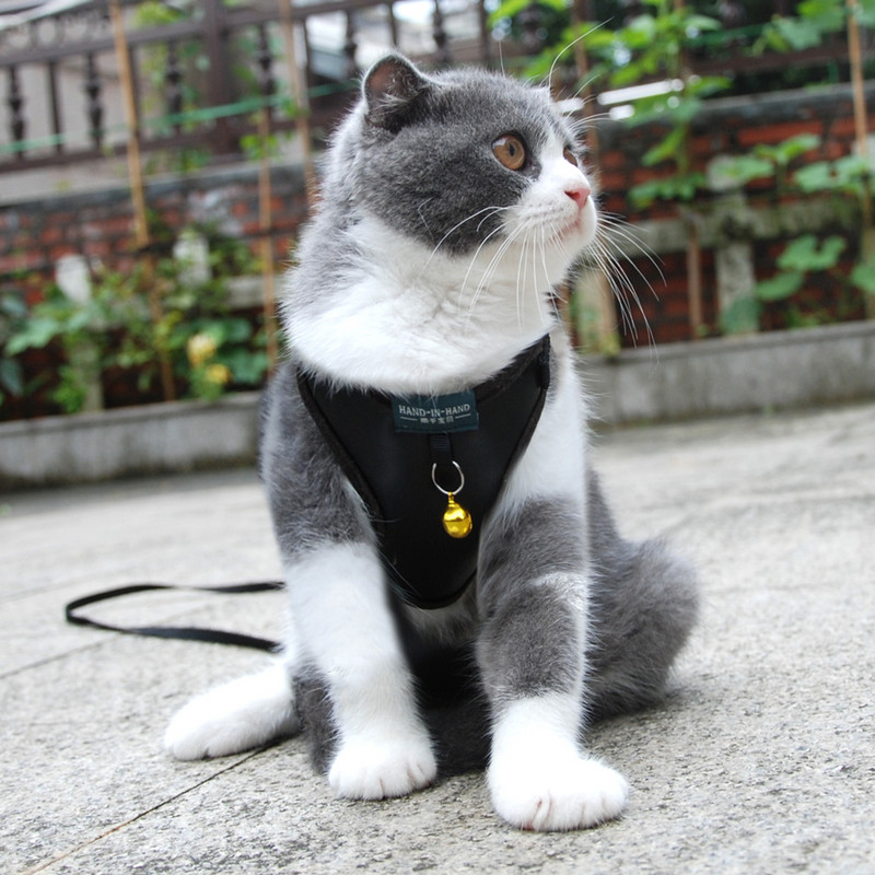 Pet Cat Harness Vest Leash Kućni ljubimac Podesivi pojas za kućne ljubimce sa zvonom Walking Lain za mače Puppy Mali srednji pas imitacija kože