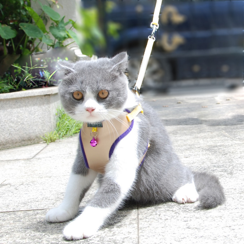 Pet Cat Harness Vest Leash Kućni ljubimac Podesivi pojas za kućne ljubimce sa zvonom Walking Lain za mače Puppy Mali srednji pas imitacija kože