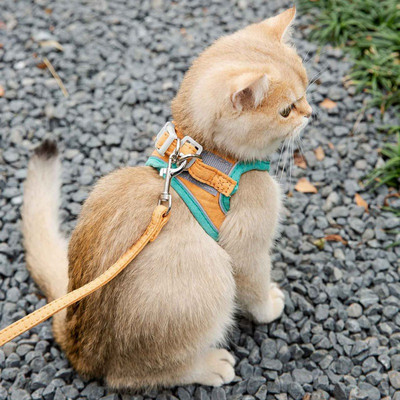 Σετ λουριών καλωδίων γάτας για αξεσουάρ Τσιουάουα Γιλέκο για σκύλους Λουριά πατημασιά Εργαλεία βάδισης Walk Out Μολύβδινο προϊόν