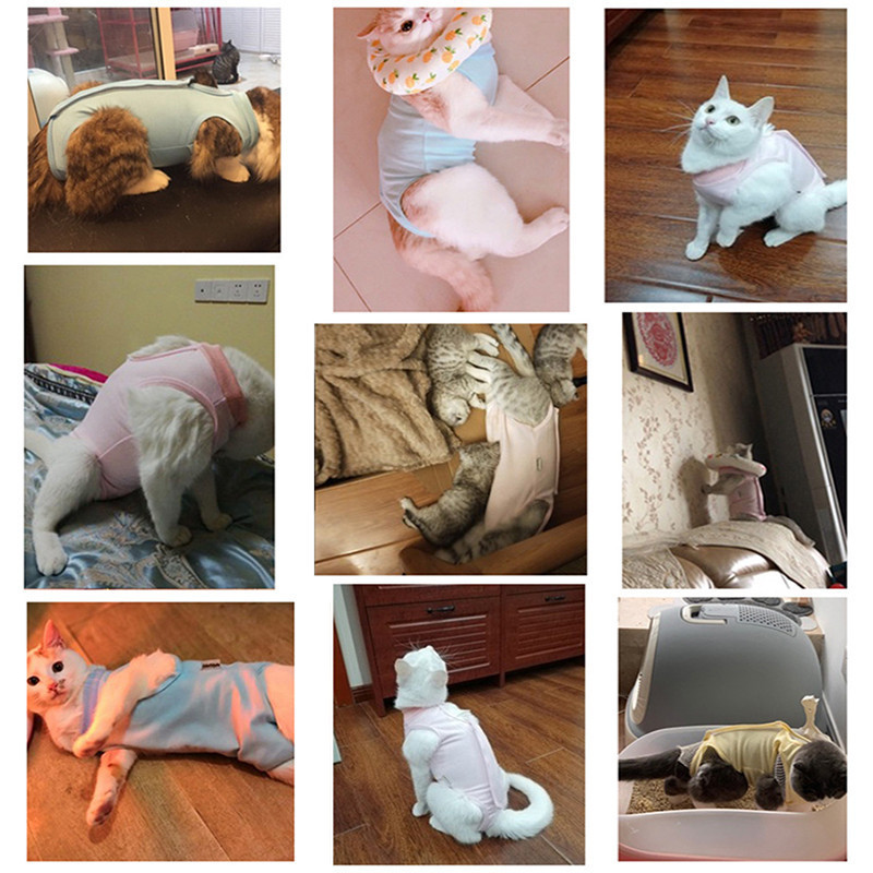 Lemmikkasside taastav ülikond, särgi riided, alternatiivne krae kassidele, mis takistavad pärast operatsiooni kandmist lemmiklooma lakkumise vastu haavade langemise eest