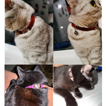 Heart Charm and Bell Cat Collar Безопасна еластична регулируема с мек кадифен материал 5 цвята Продукт за домашни любимци Нашийник за малки кучета