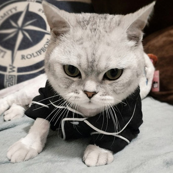 Χριστουγεννιάτικη στολή κατοικίδιων γατών Ρούχα για γάτες Φούτερ Kedi Katten Sphynx Φούτερ με κουκούλα Mascotas Clothing Ropa Para Gato