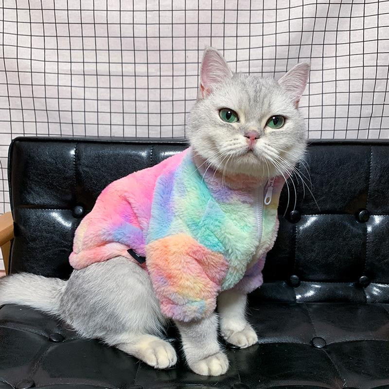 Super kena kassi sügistalvine mantel Paks soe armas lemmikloom Briti lühike kass väike koera riided kassi kampsun lemmiklooma kostüüm kassi varustus