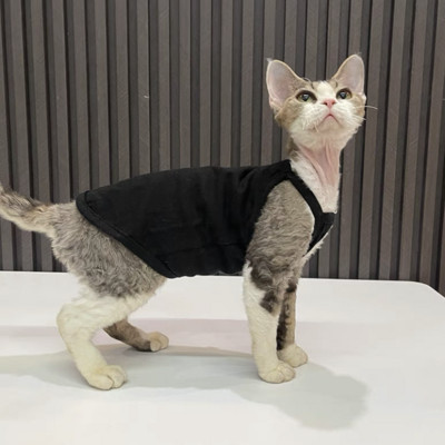 Καλοκαιρινά ρούχα για κατοικίδια Sphynx Βαμβακερά γατάκια πουκάμισο γιλέκο για Sphinx Breathable Cats Camisole Soft Devon Rex Soft Clothing