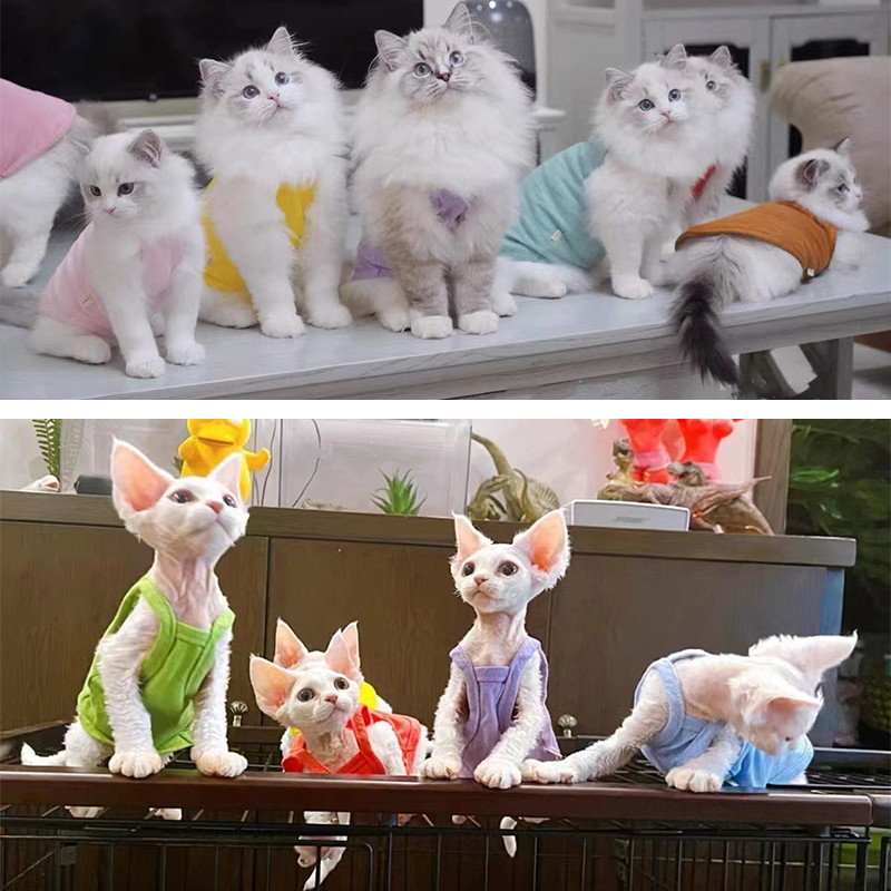 Καλοκαιρινά ρούχα για κατοικίδια Sphynx Βαμβακερά γατάκια πουκάμισο γιλέκο για Sphinx Breathable Cats Camisole Soft Devon Rex Soft Clothing