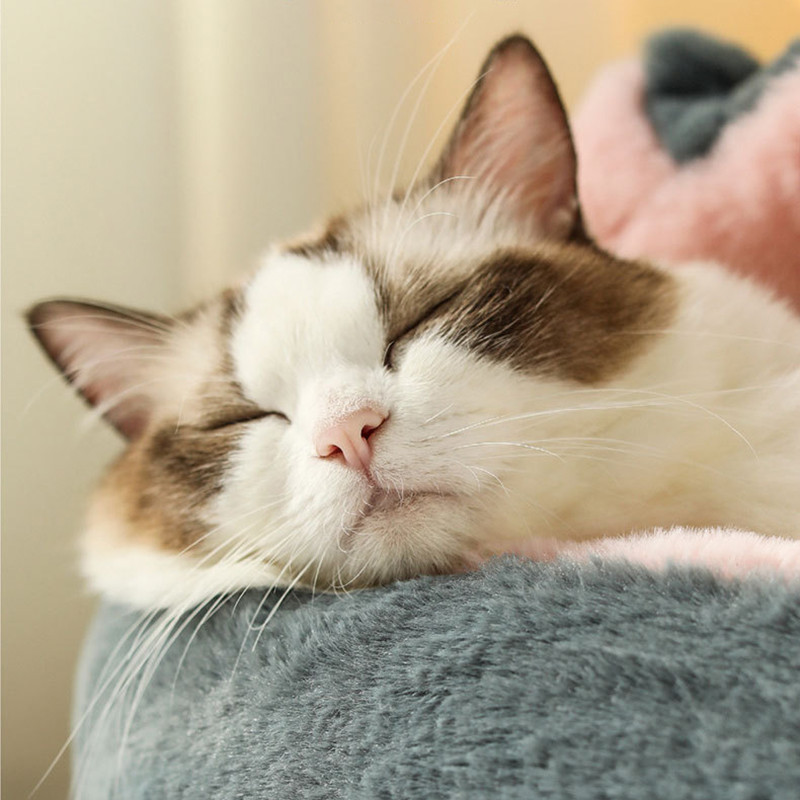 Mačka Zima Topli kreveti Super mekani mali psi od flisa Kućica Poluzatvorena Sofa za spavanje Kućni ljubimac Psić Mačić Neklizajuće gnijezdo za jorgan
