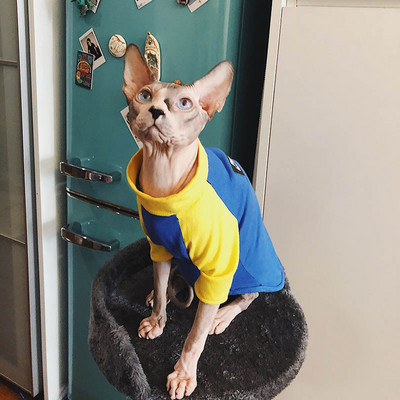 Ρούχα Devon Sphinx Ρούχα χωρίς τρίχες γάτες για ρούχα για κατοικίδια 100% βαμβακερά ρούχα για κατοικίδια με κολιέ