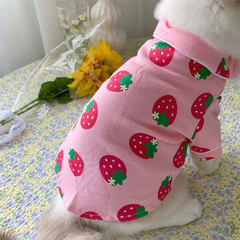 Ανοιξιάτικη στολή γάτας Χαριτωμένα άνετα ρούχα για κατοικίδια για γάτες Katten Kedi Hoodie Mascotas Gato Φούτερ Πουλόβερ γάτας Ρούχα για κατοικίδια