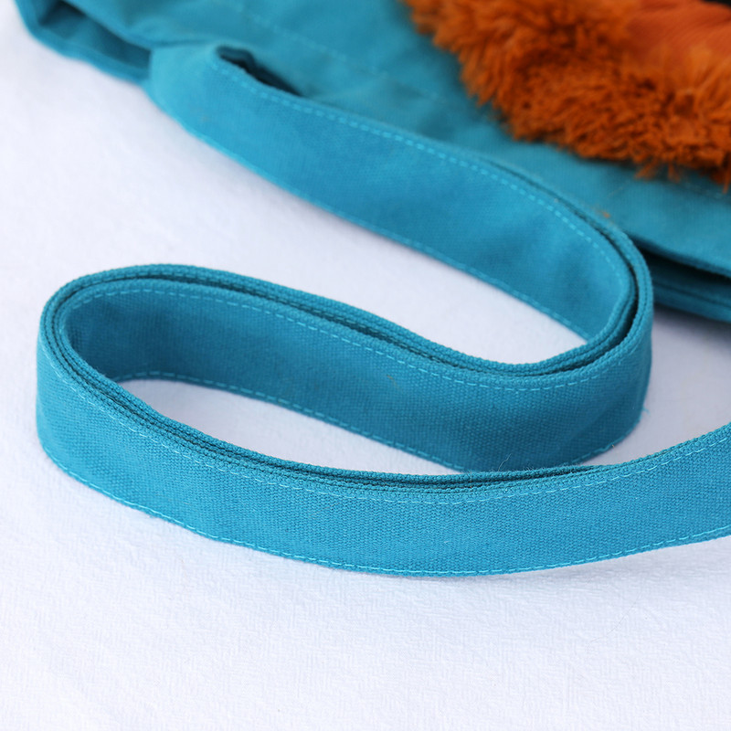 Mekane nosiljke za kućne ljubimce Lion Design Prijenosna prozračna torba za mačku Pse Torbe za nošenje za odlazna putovanja Ručna torba za kućne ljubimce sa sigurnosnim patentnim zatvaračima