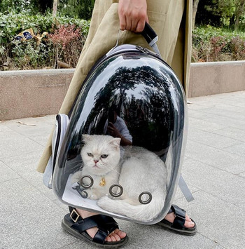 Τσάντα γάτας Αναπνεύσιμη φορητή τσάντα μεταφοράς κατοικίδιων Εξωτερική σακίδιο ταξιδιού για γάτες και σκύλους Διαφανής χώρος Σακίδιο πλάτης κατοικίδιων ζώων Προμήθειες για κατοικίδια