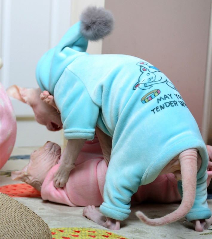 Odjeća za mačke bez dlake Sfinga Zimske majice s kapuljačom za pse za male srednje kućne ljubimce Crtići Mačići Kostimi Odjeća za čivave Jakna Jesen