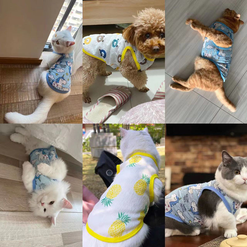 Suvised lemmikloomad hingavad õhukesed riided armsad trükitud päikesekaitsekreem Kassid Vest Varrukateta kutsikas Chihuahua särgid Kassipojad Koerad Riided