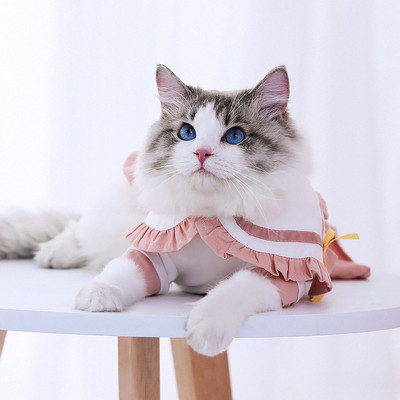 HOOPET Mornarički stil Simpatična odjeća za mačke Djevojčica Suknja za male pse Odjeća za kućne ljubimce Ljeto Proljeće Haljina za mačke Odjeća za štene za mačku Kitty Puppy