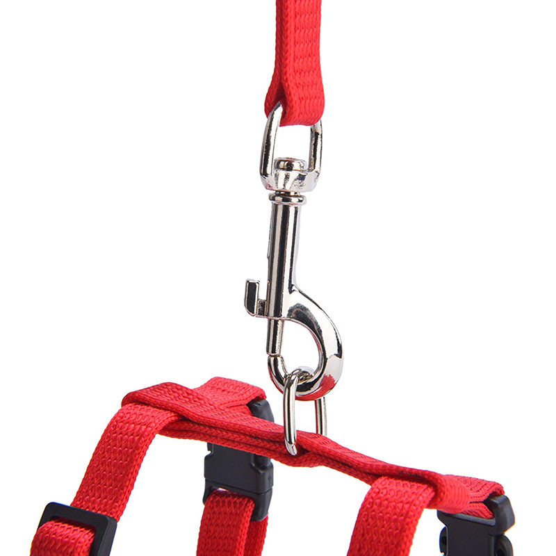 Harnaș reglabil pentru pisici Guler cu curele din nailon cu lesă Guler pentru pisoi rezistent la evadare pentru plimbarea iepurelui de companie de companie de talie mică.