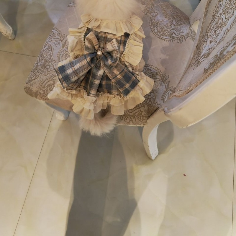 Originaalne käsitsi valmistatud kohandatud kassikleit seelik lemmikloomakoera riided Lolita printsessi kleit kassijänku kleidi jaoks