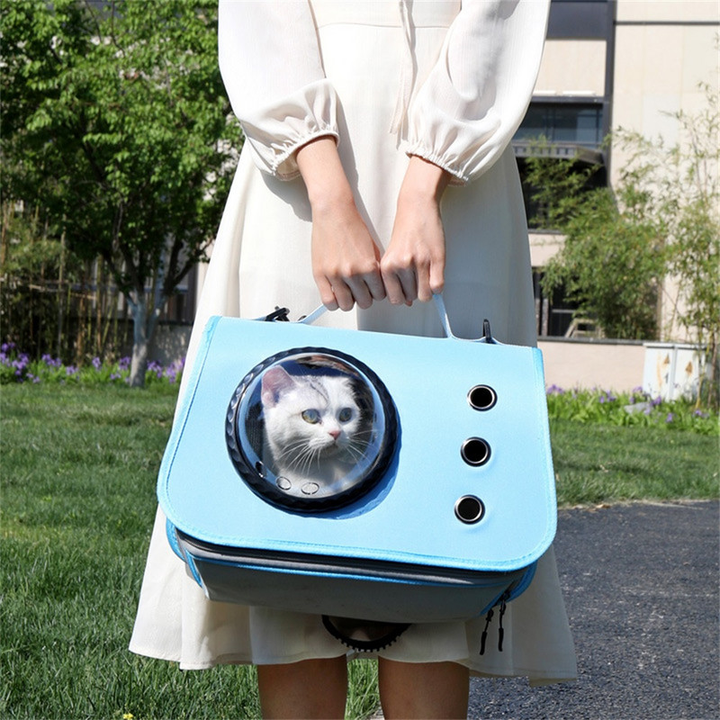 Lemmikkassi koerte kandekott Kaasaskantav käekott Oxfordi riidest hingav õlakott väljas Kokkupandav kassid, kes kannavad reisi väikest koera kassi