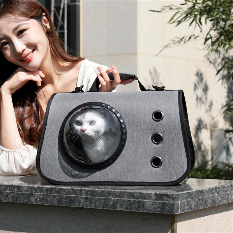 Lemmikkassi koerte kandekott Kaasaskantav käekott Oxfordi riidest hingav õlakott väljas Kokkupandav kassid, kes kannavad reisi väikest koera kassi