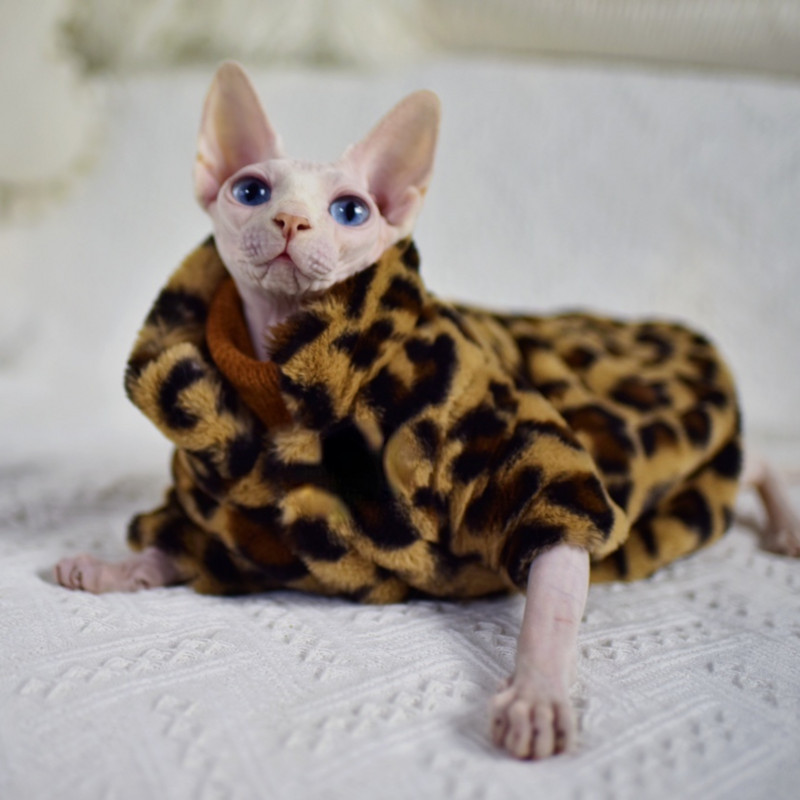 DUOMASUMI Sphynx Cat Double Padded Leopard Ζεστό μπουφάν χωρίς τρίχες γάτες για Cornish Devon Rex Peterbald, Knnis, Abbey Cat