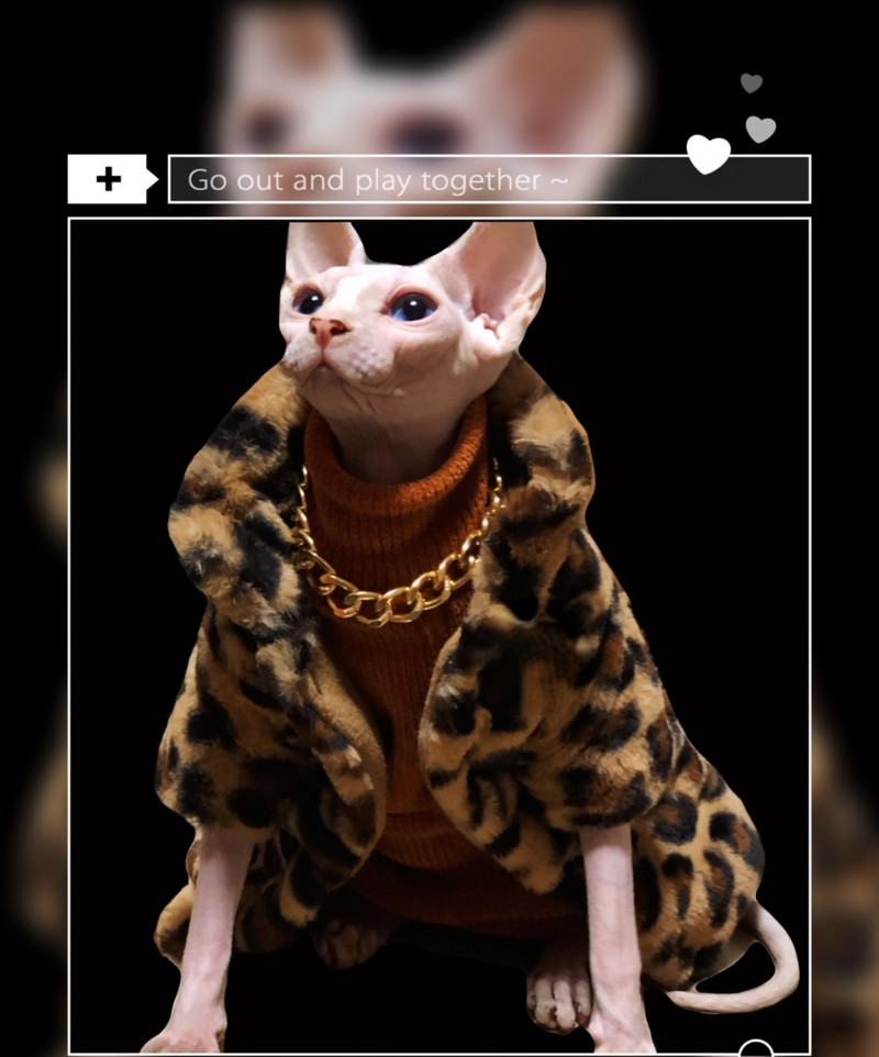 DUOMASUMI Sphynx Cat Double Padded Leopard Ζεστό μπουφάν χωρίς τρίχες γάτες για Cornish Devon Rex Peterbald, Knnis, Abbey Cat