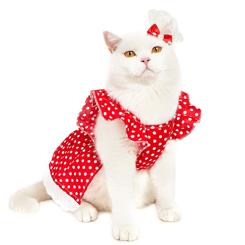Κόκκινο πουά φόρεμα για κατοικίδια ρούχα για γάτες Γλυκές ζαρτιέρες για γάτες Ρούχα για μικρά σκυλιά Καλοκαιρινές φούστες Πριγκίπισσα Φόρεμα για κατοικίδια
