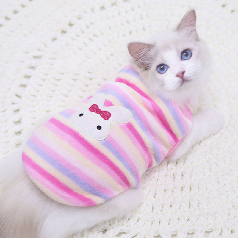 Kassiriided Sügistalvised lemmikloomariided väikestele kassidele koertele flanell Armsad kassikostüümid Pehme kassipoeg kiisu mantel jope kutsika komplekt