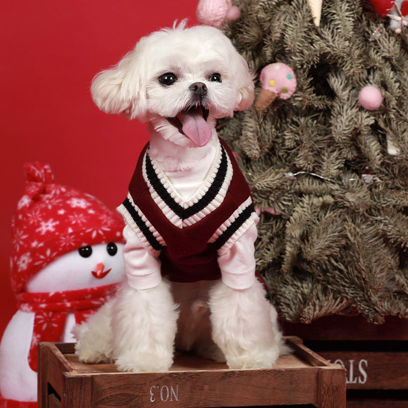 Božićni mačka, pas, pulover, pulover, zimska odjeća za male pse, mačka, prsluk, psić, jakna, mačka, mačka, mačka, mačka, mačka, mačka, mačka