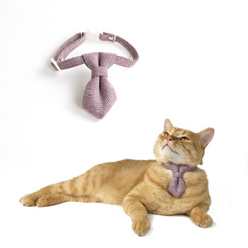 Едноцветни нашийници за котки за домашни любимци Регулируемо кученце Чихуахуа Колие Предпазна катарама Коте Папийонка Заешка вратовръзка