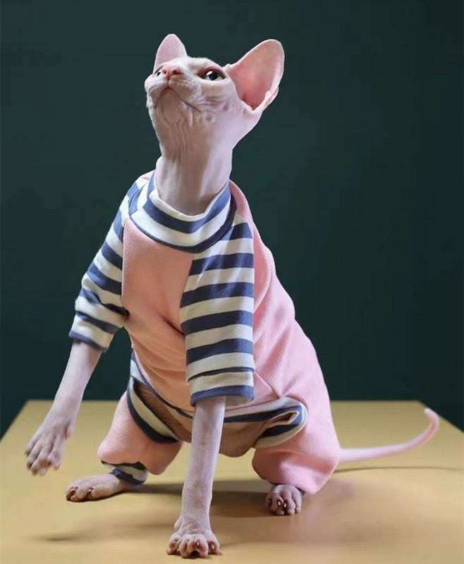 Talvised puuvillased sfinksi kassi riided kombinesoon kassipoegadele soe lemmiklooma jope roosa kutsika riided väikestele koertele kiisu pulloverid sügis